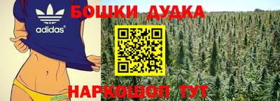 PSILOCYBIN Бугуруслан