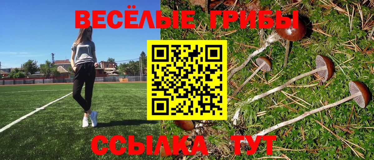 Галлюциногенные грибы Psilocybine cubensis  Вход с VPN  Удомля 